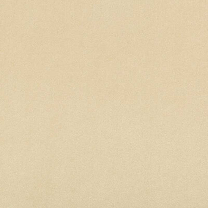 Kravet Contract Madison Velvet Papyrus Fabric Sample 35402.116.0