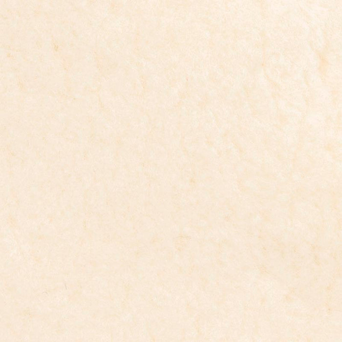 Holly Hunt Great Plains Shearling Winter White Fabric Sample 3551/01