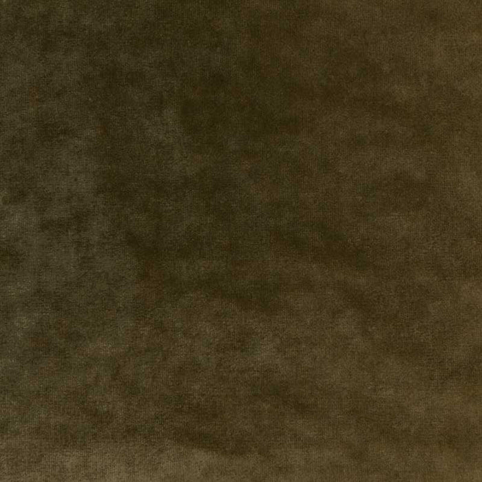 Kravet Couture Regal Velvet Olive Fabric Sample 36064.303.0