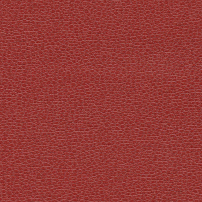 Schumacher Promessa Lacquer Fabric Sample 363-1387