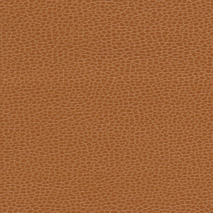 Schumacher Promessa Saddle Fabric Sample 363-3140