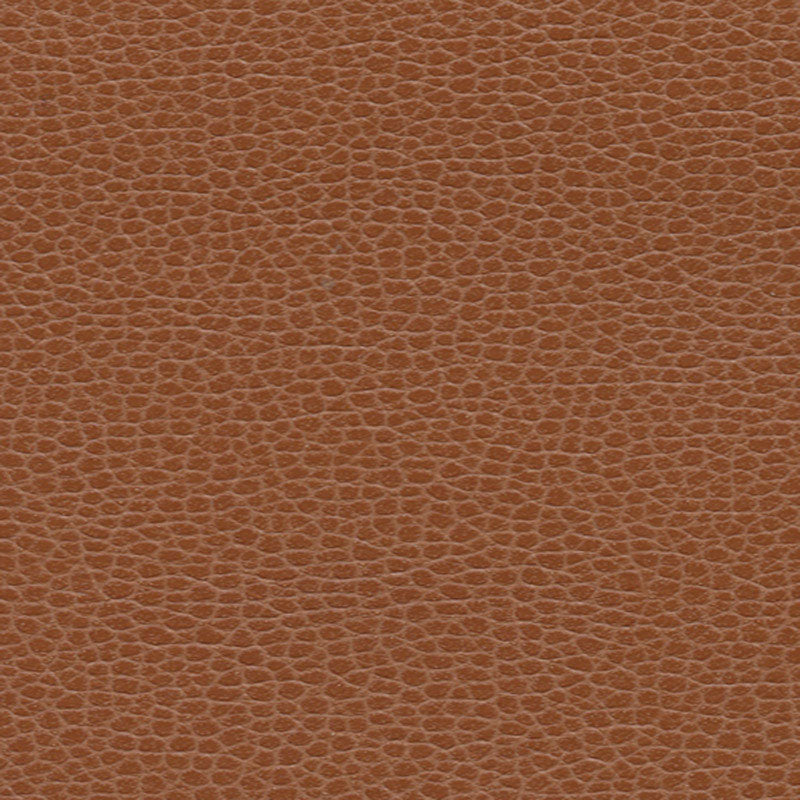 Schumacher Promessa Leather Fabric 363-3144