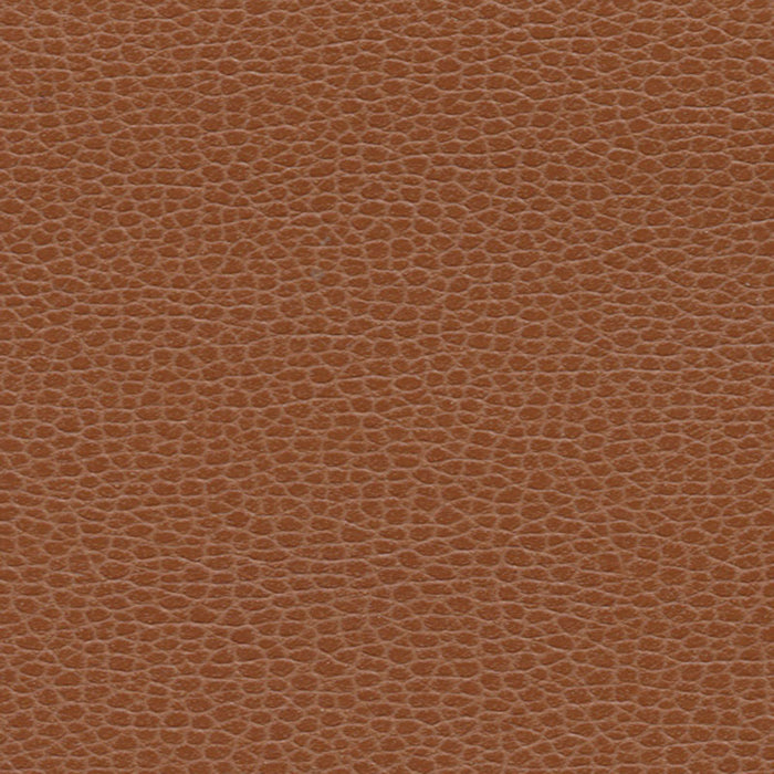 Schumacher Promessa Leather Fabric Sample 363-3144