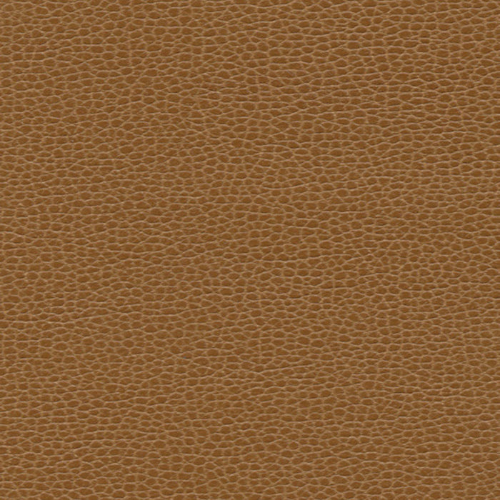 Schumacher Promessa Bronze Fabric Sample 363-3145