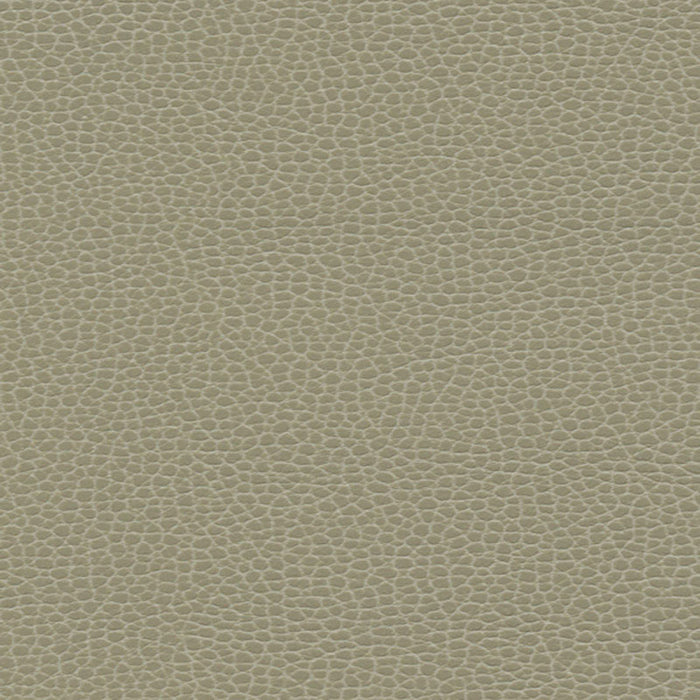 Schumacher Promessa Taupe Fabric 363-3463