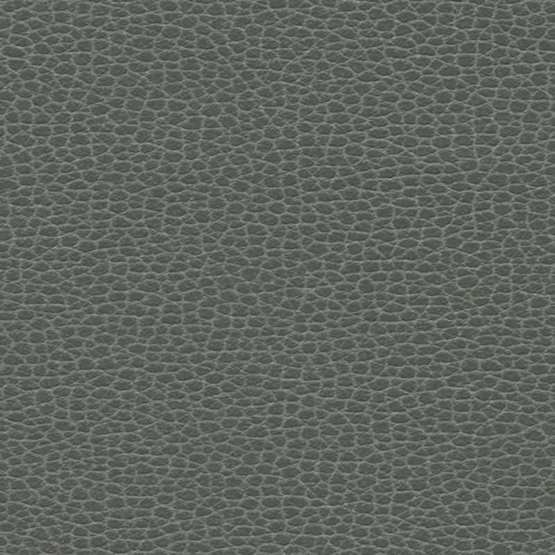 Schumacher Promessa Shale Fabric 363-5817