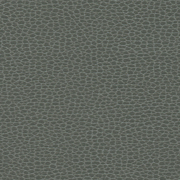 Schumacher Promessa Shale Fabric 363-5817