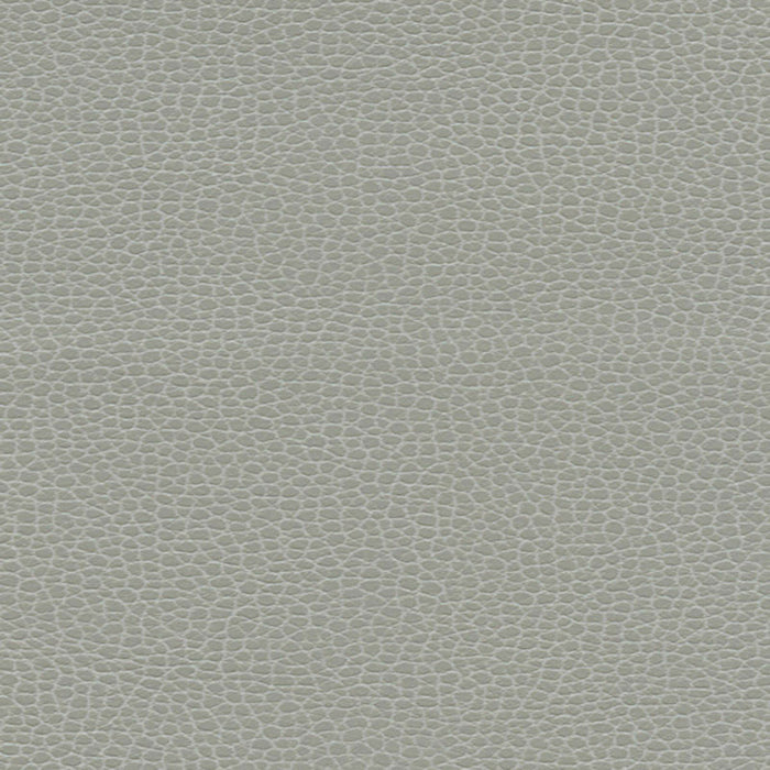 Schumacher Promessa Ash Fabric 363-5818