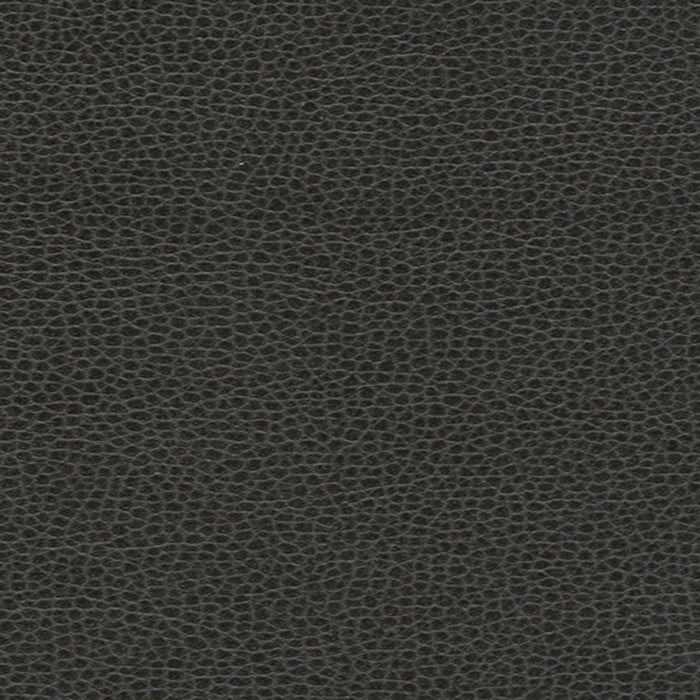 Schumacher Promessa Ebony Fabric Sample 363-5845