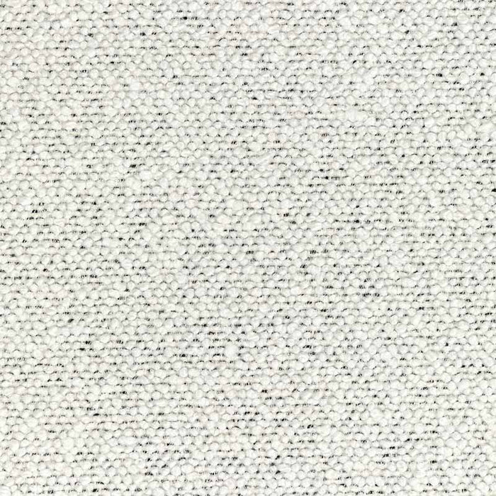 Kravet Couture Cosmic Plush Ivory Noir Fabric Sample 36329.1.0