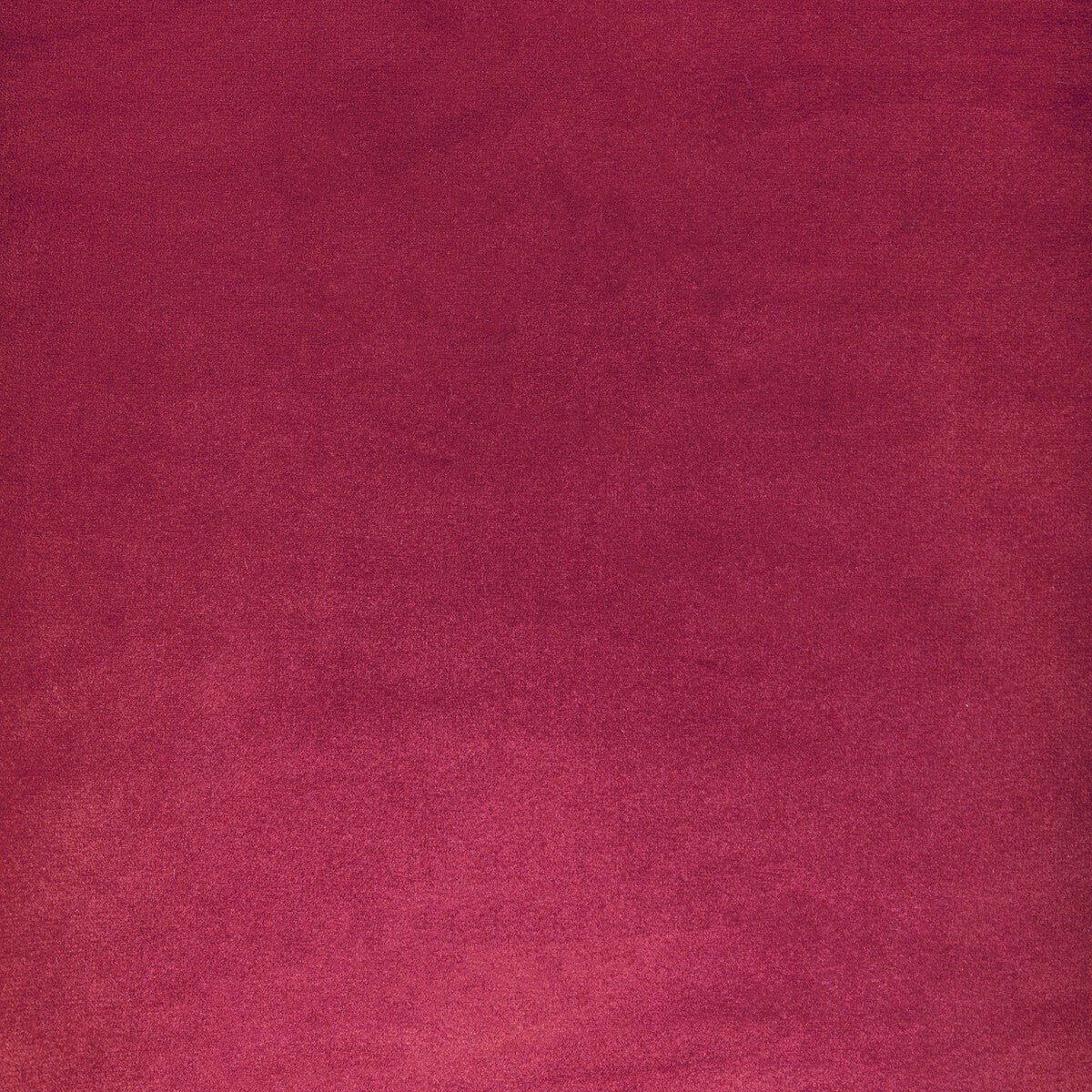 Kravet Contract Rocco Velvet Rosa Fabric Sample 36652.19.0