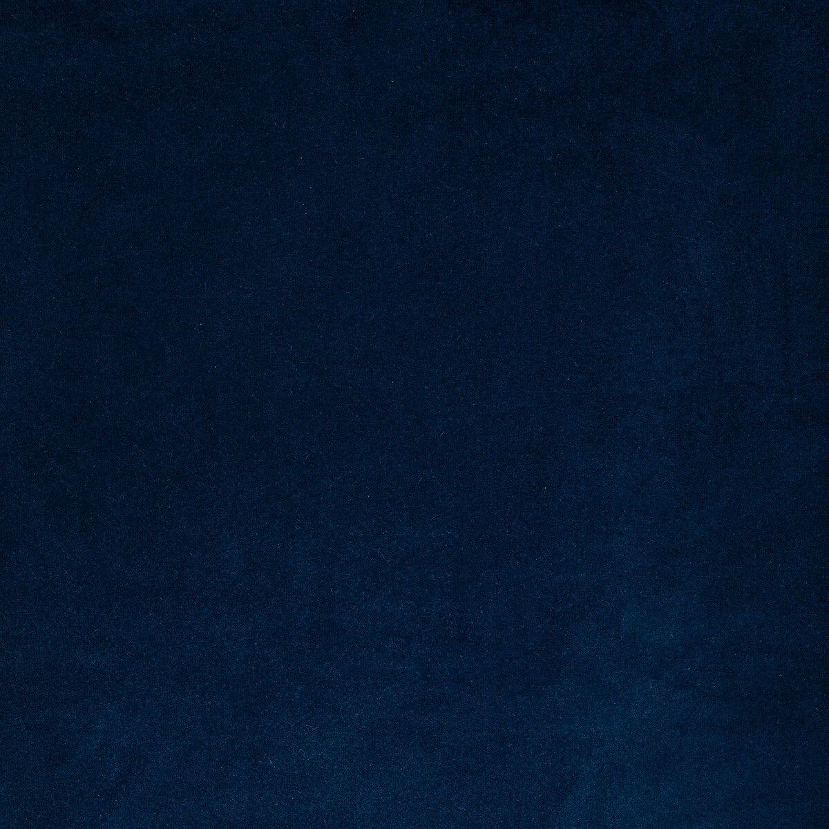 Kravet Contract Rocco Velvet Cobalt Fabric Sample 36652.50.0