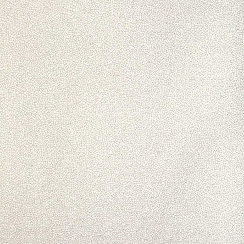 Kravet Design Mulford Sugar Fabric Sample 37052.101.0