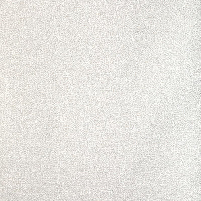 Kravet Design Mulford Salt Fabric Sample 37052.111.0