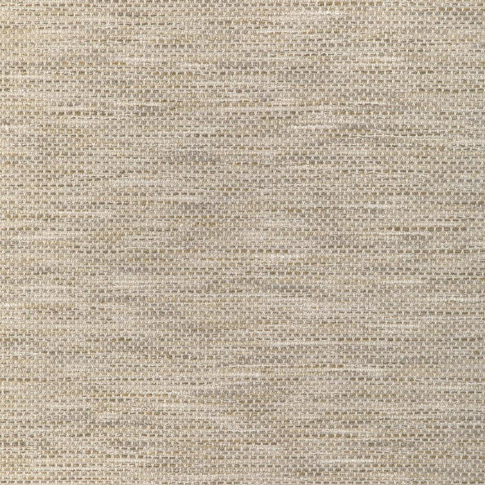 Kravet Design 37207 106 Fabric Sample 37207.106.0