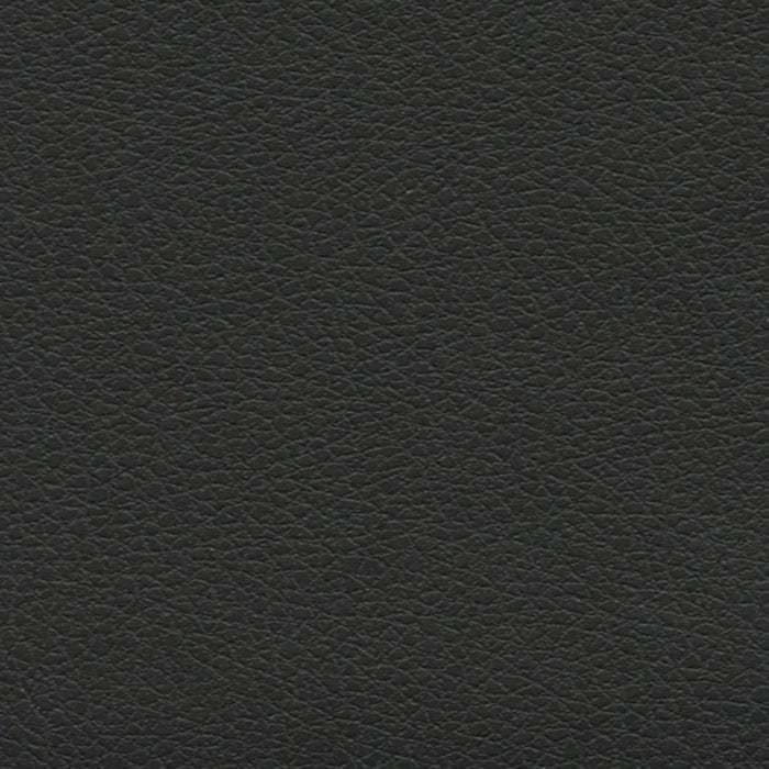 Schumacher Brisa Soleil Indoor/Outdoor Black Onyx Fabric Sample 393-5749