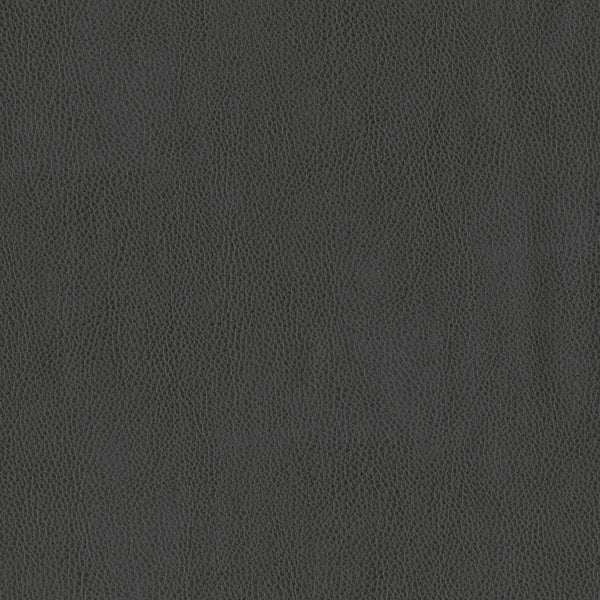 Brentano Terrain Almost Black Fabric Sample 3981-13