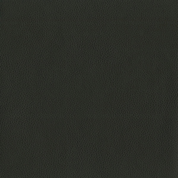 Brentano Terrain Noir Fabric Sample 3981-16