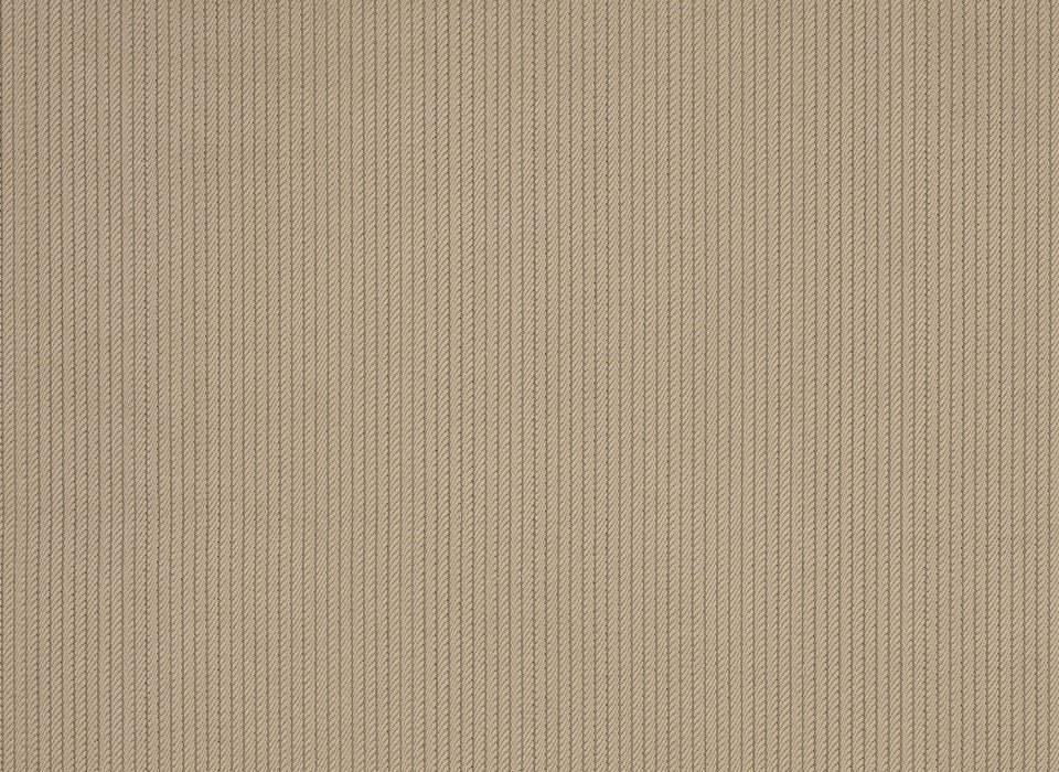 Pierre Frey Corde Lin Fabric Sample F3375002