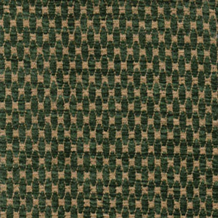 Ast 4154 Forest Fabric Sample