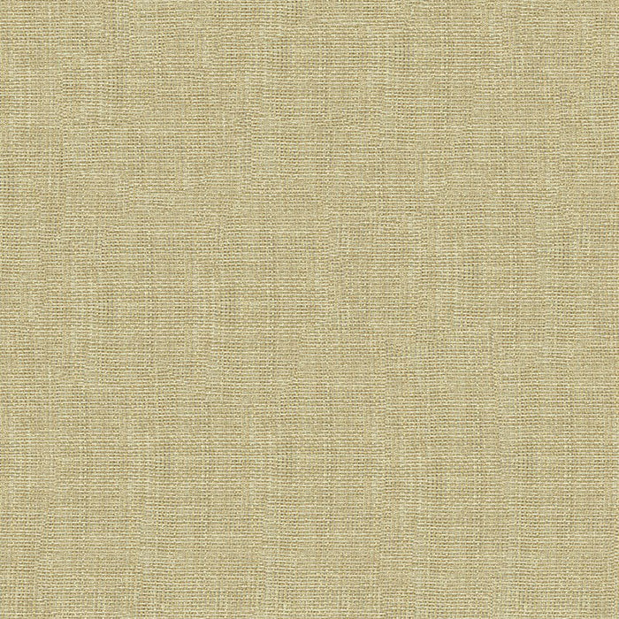 Kravet Contract 4161 1116 Fabric Sample 4161.1116.0