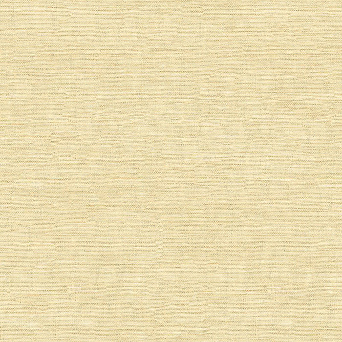 Kravet Design 4205 416 Fabric Sample 4205.416.0