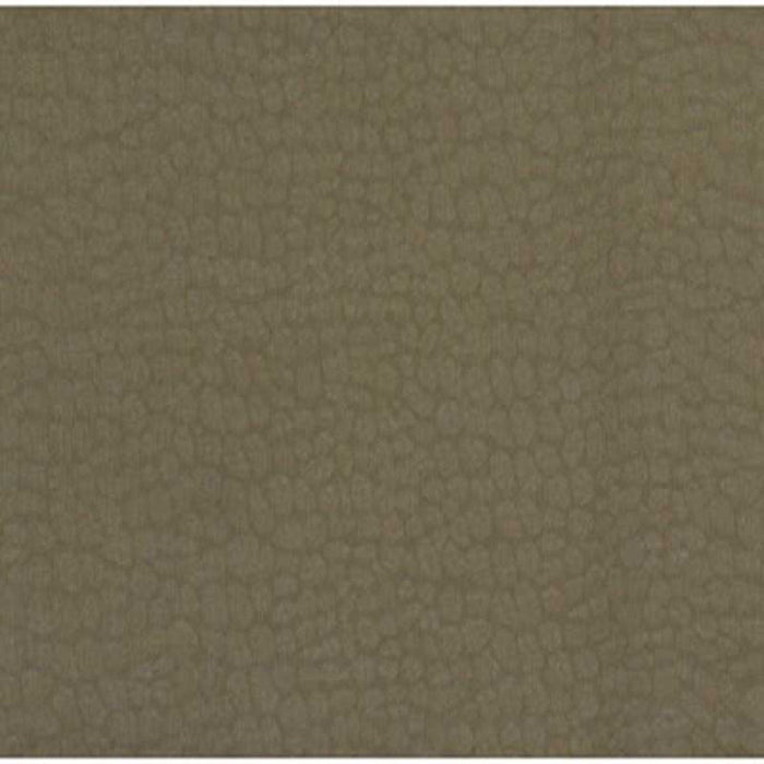 Kravet Contract Moreno Bronze Fabric Sample 4276.6.0