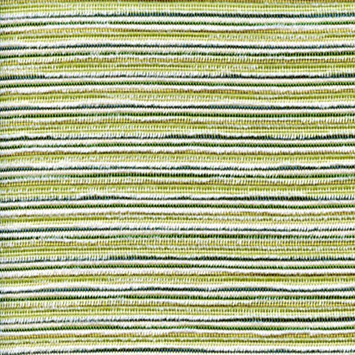 Ast 4383 Citron Fabric Sample