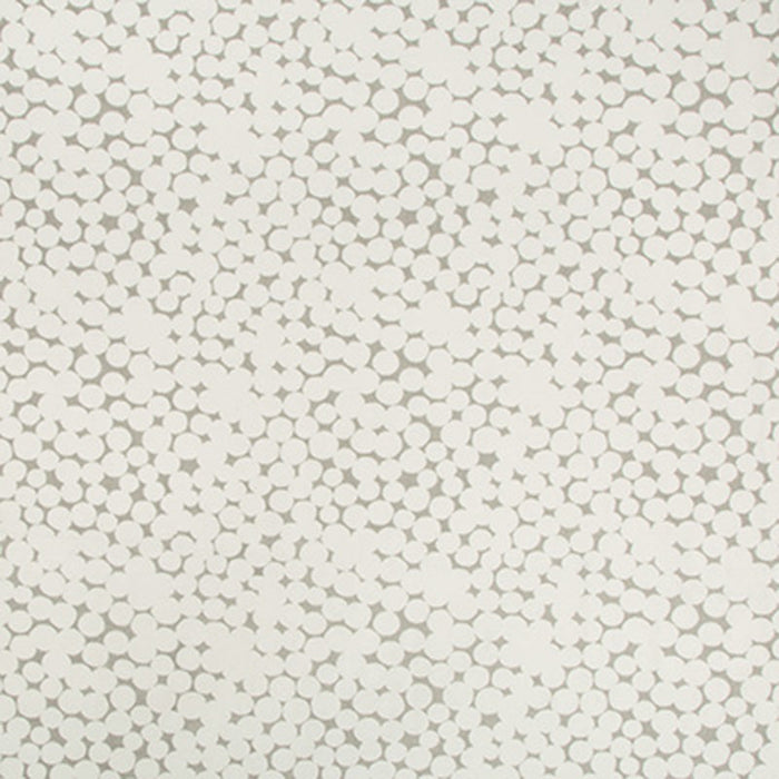 Kravet Couture Olivos Limestone Fabric Sample 4474.23.0