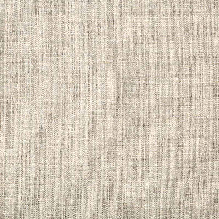 Kravet Basics 4665 11 Fabric Sample 4665.11.0