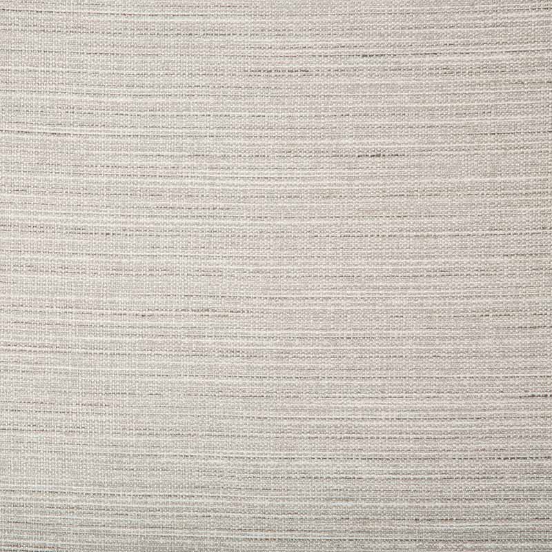 Kravet Basics 4673 11 Fabric Sample 4673.11.0