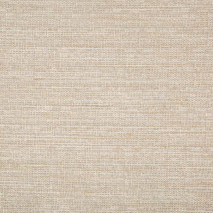 Kravet Basics 4673 16 Fabric Sample 4673.16.0