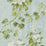 Designers Guild Floreale 2 Sample Sample PDG673-02