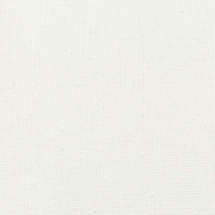 Kravet Basics 4767 1 Fabric Sample 4767.1.0