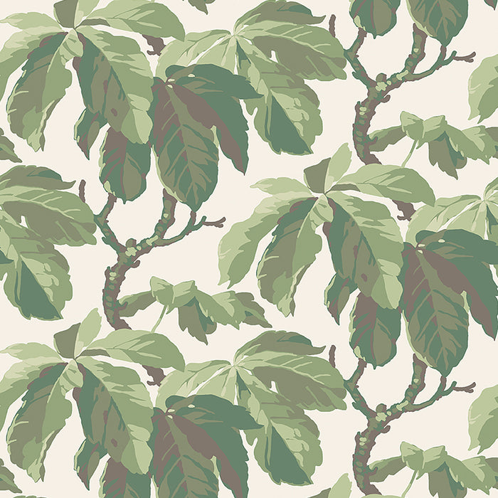 Schumacher Kastanj Leaf Wallpaper Sample 4839