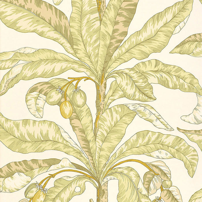 Schumacher Blair House Palm Kiwi Wallpaper 5004062