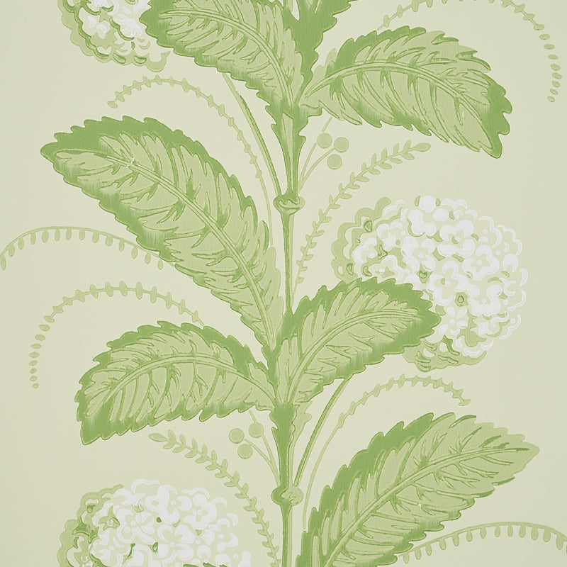 Schumacher Hydrangea Drape Green Wallpaper 5004456