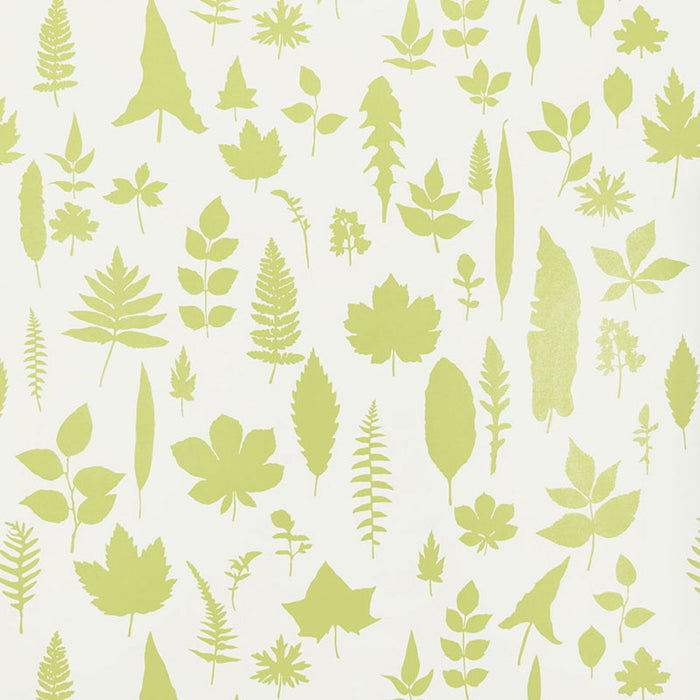 Schumacher Leaves Chartreuse Wallpaper 5005021