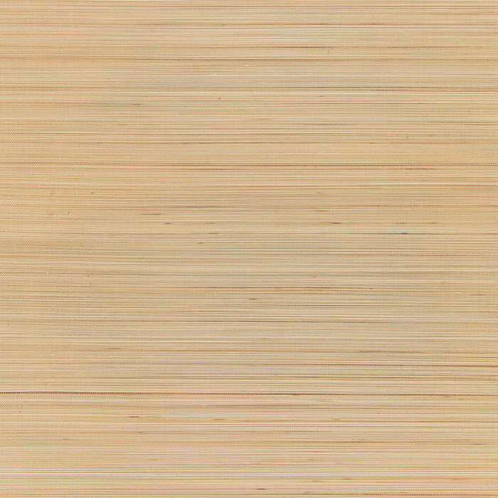 Schumacher Zen Bamboo Sesame Wallpaper Sample 5006400