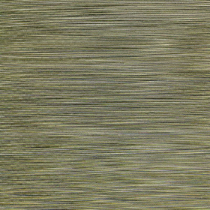 Schumacher Zen Bamboo Sage Wallpaper Sample 5006401