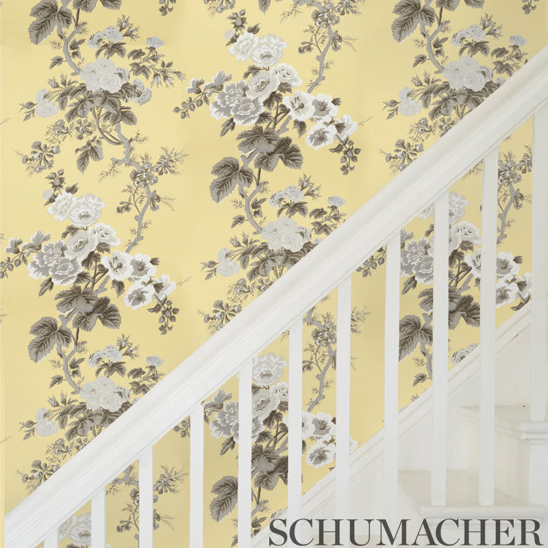 Schumacher Pyne Hollyhock Buttercup Wallpaper 5006925