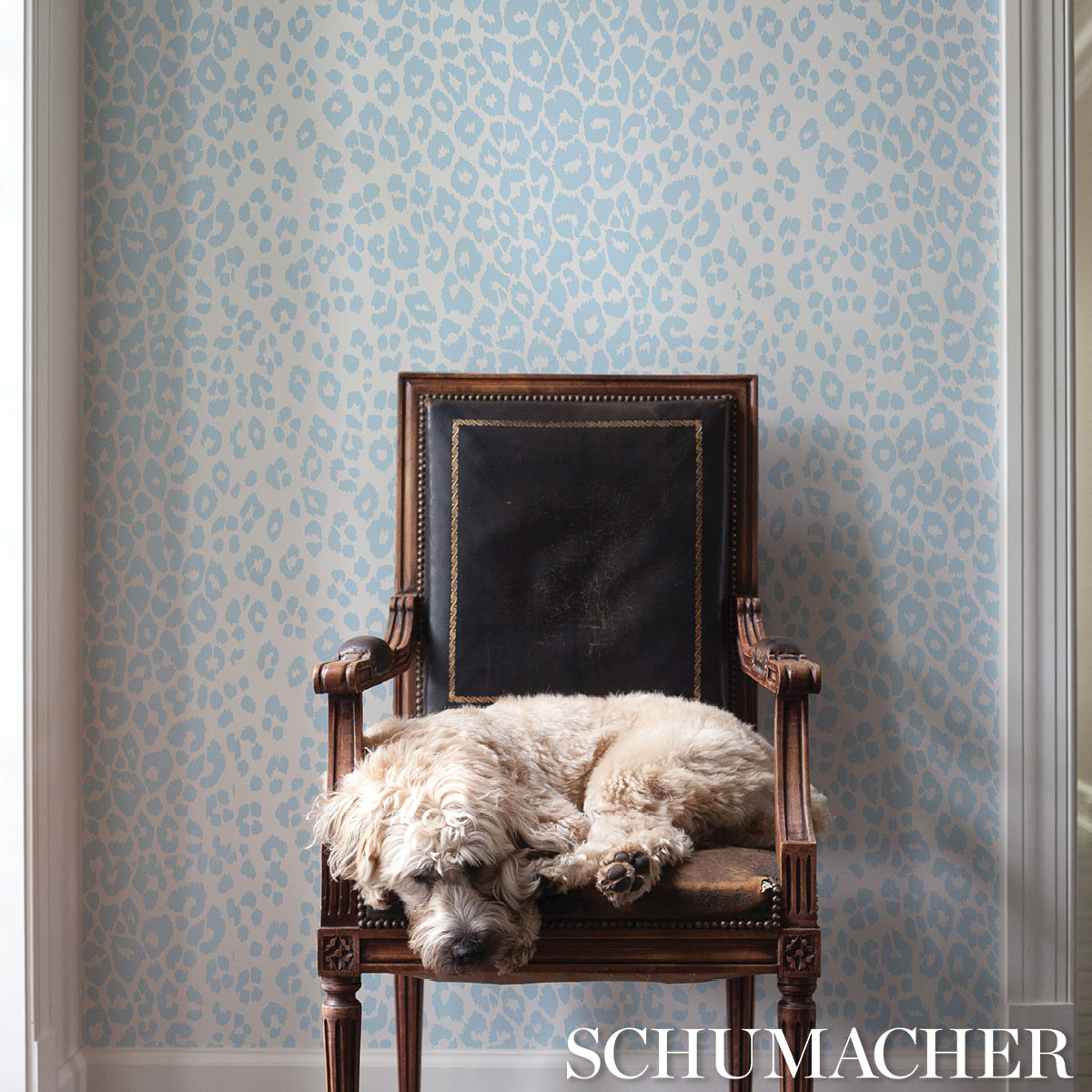 Schumacher Iconic Leopard Sky Wallpaper 5007014