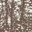 Schumacher Woodland Bark Wallpaper Sample 5007443