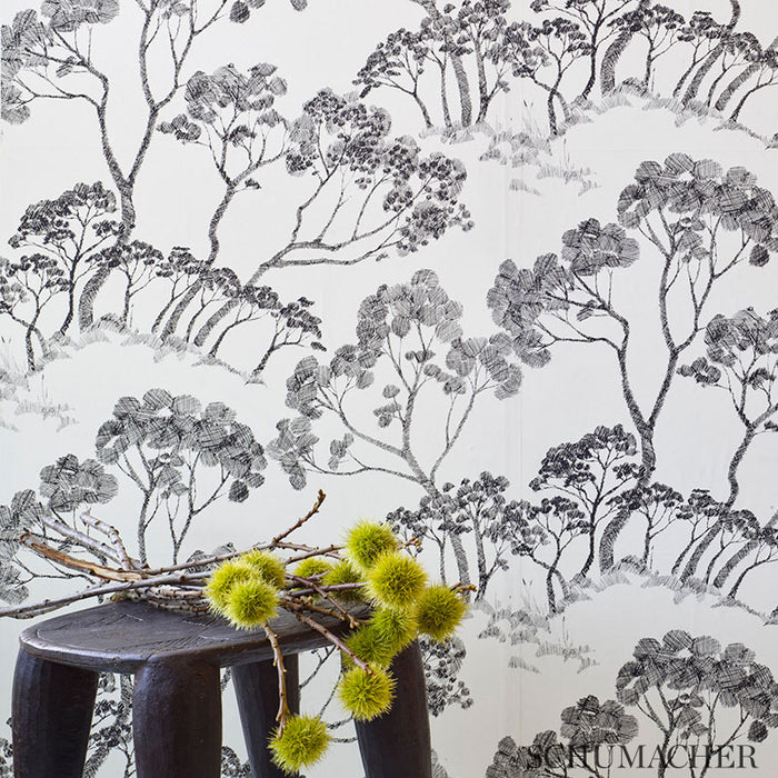 Schumacher Timber ! Black & White Wallpaper 5007980