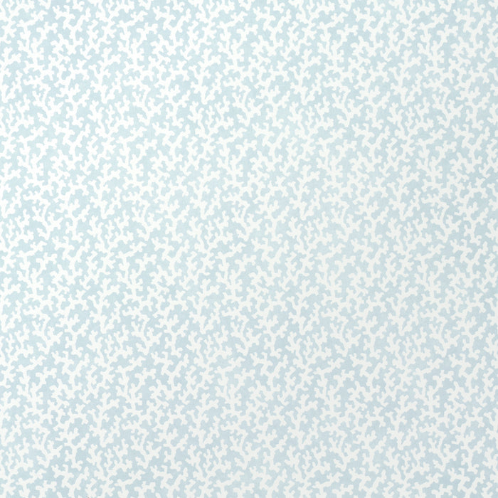 Schumacher Folly Sky Wallpaper Sample 5008009