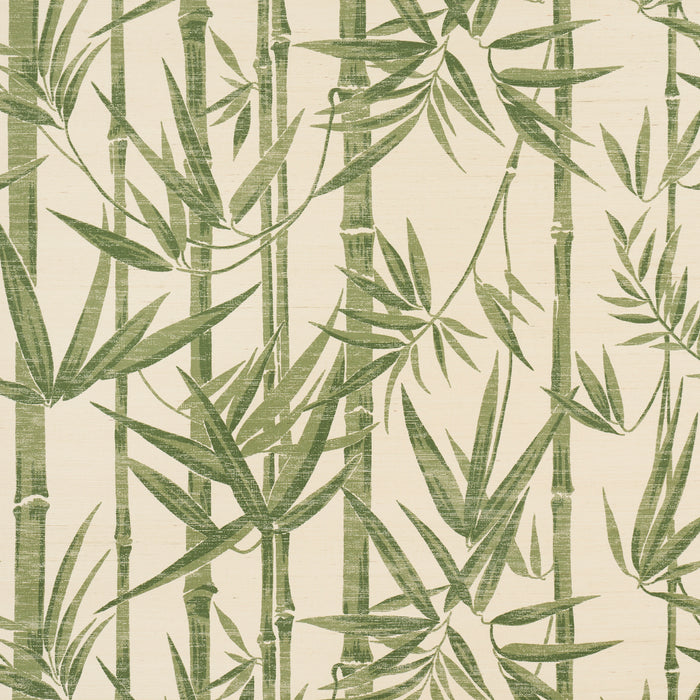 Schumacher Les Bambous Sisal Green Wallpaper 5008313