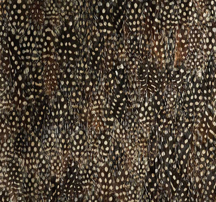 Schumacher Krypton Black Pearl Wallpaper 5008390