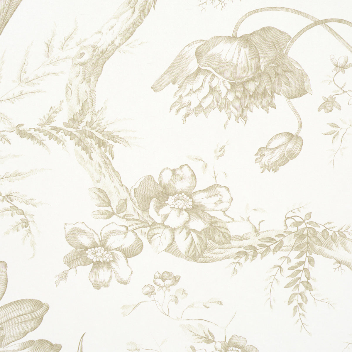 Schumacher Toile De Fleurs Birch Wallpaper 5009125