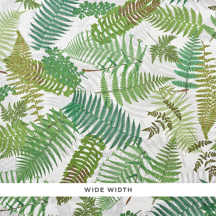 Schumacher Fernarium Ivory & Leaf Wallpaper 5009190