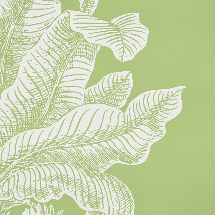 Schumacher Grand Palms Leaf Wallpaper 5009620